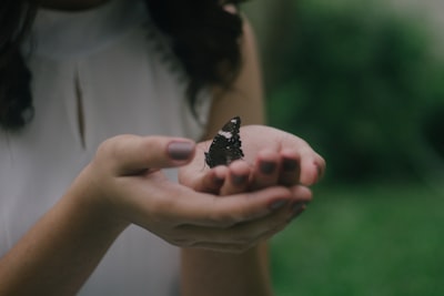 女性の手のひらに蝶々がのっている写真